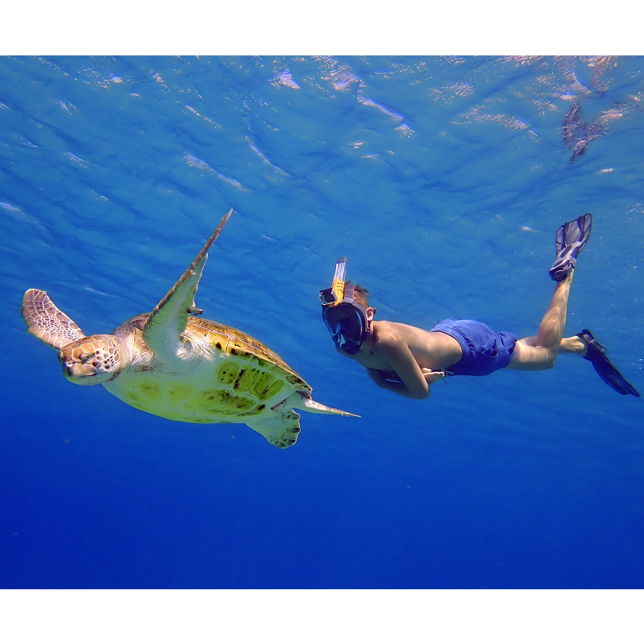 ARIA QR+ Full Face Snorkeling – DEVILRAY WATER GEAR